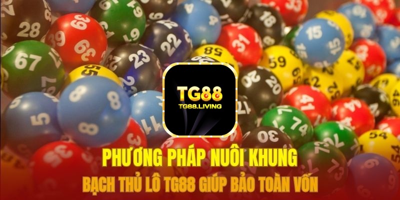 TG88 Sảnh Xổ Số Đánh Bạch Thủ Lô 24/7 3 Phương pháp nuôi khung bạch thủ lô TG88 giúp bảo toàn vốn